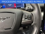 2022 Mustang Mach-E Thumbnail 17