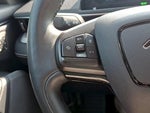 2021 Mustang Mach-E Thumbnail 20