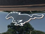 2021 Mustang Mach-E Thumbnail 28
