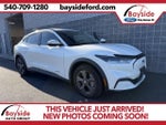 2021 Mustang Mach-E Thumbnail 1