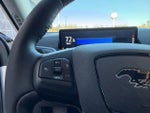2021 Mustang Mach-E Thumbnail 20