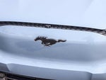 2023 Mustang Mach-E Thumbnail 11