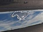 2023 Mustang Mach-E Thumbnail 29