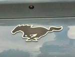 2023 Mustang Mach-E Thumbnail 11