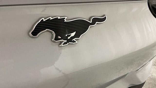 2022 Ford Mustang Mach-E Select