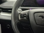 2023 Mustang Mach-E Thumbnail 19