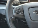 2022 Mustang Mach-E Thumbnail 18