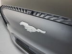 2023 Mustang Mach-E Thumbnail 23