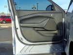 2022 Mustang Mach-E Thumbnail 20
