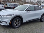 2023 Mustang Mach-E Thumbnail 4