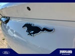 2023 Mustang Mach-E Thumbnail 23