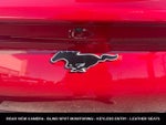 2023 Mustang Mach-E Thumbnail 12