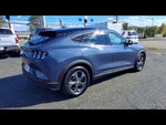 2021 Mustang Mach-E Thumbnail 8