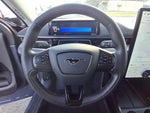2021 Mustang Mach-E Thumbnail 22