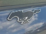2021 Mustang Mach-E Thumbnail 30