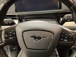 2022 Mustang Mach-E Thumbnail 13