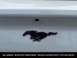 2023 Mustang Mach-E Thumbnail 11