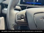 2023 Mustang Mach-E Thumbnail 19