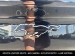 2023 Mustang Mach-E Thumbnail 12