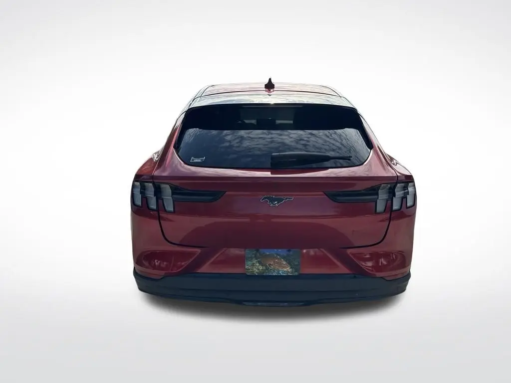 2021 Ford Mustang - $19,955