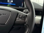 2021 Mustang Mach-E Thumbnail 11