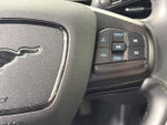 2023 Mustang Mach-E Thumbnail 18