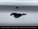 2023 Mustang Mach-E Thumbnail 12