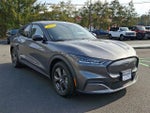 2021 Mustang Mach-E Thumbnail 3