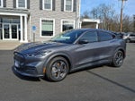 2021 Mustang Mach-E Thumbnail 1