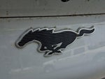 2022 Mustang Mach-E Thumbnail 29