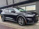 2021 Mustang Mach-E Thumbnail 2
