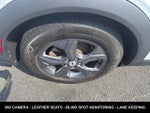 2023 Mustang Mach-E Thumbnail 27