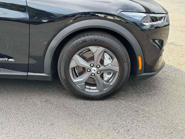 2023 Ford Mustang - $26,299