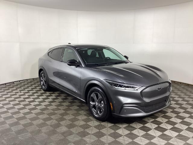 2023 Ford Mustang