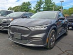 2021 Mustang Mach-E Thumbnail 2