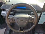 2021 Mustang Mach-E Thumbnail 20