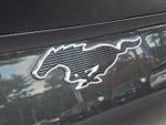 2021 Mustang Mach-E Thumbnail 30