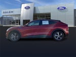 2021 Mustang Mach-E Thumbnail 5