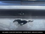 2023 Mustang Mach-E Thumbnail 11