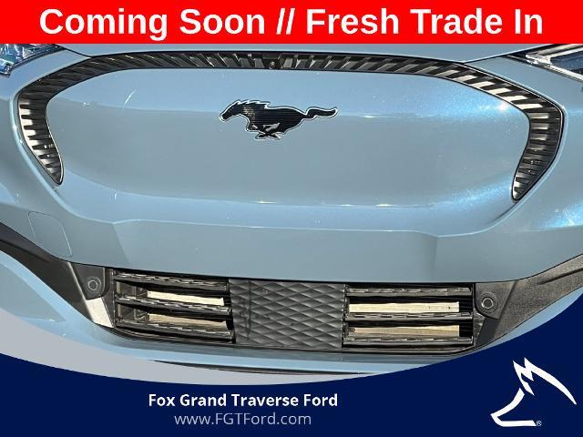 2023 Ford Mustang - $24,995