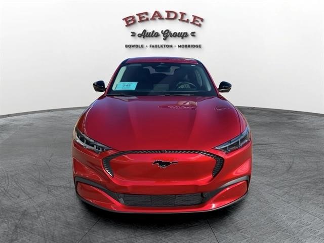 2024 Ford Mustang - $29,450