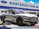 2021 Mustang Mach-E Thumbnail 1