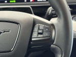 2021 Mustang Mach-E Thumbnail 25