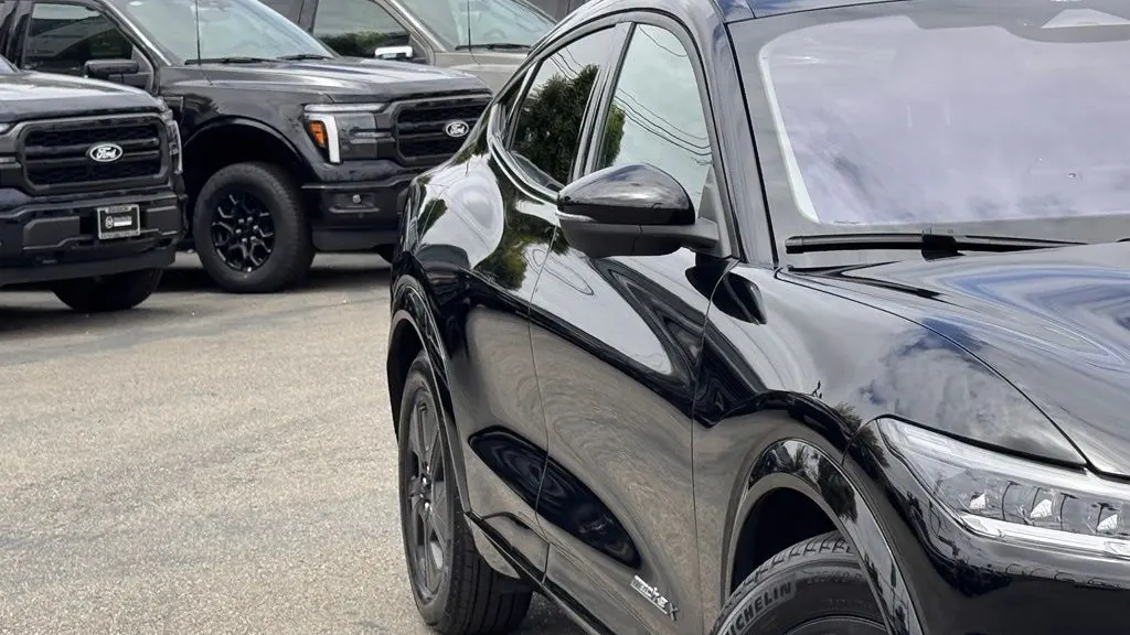 2022 Ford Mustang Mach-E California Route 1