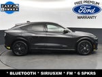 2022 Mustang Mach-E Thumbnail 10