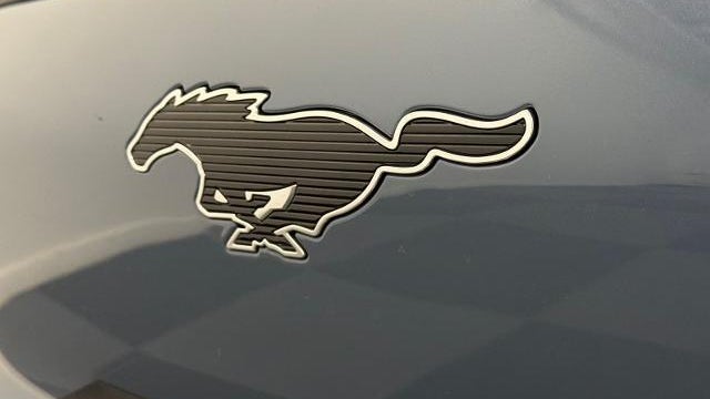 2023 Ford Mustang Mach-E California Route 1