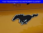 2023 Mustang Mach-E Thumbnail 29