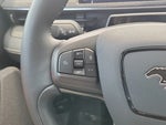 2024 Mustang Mach-E Thumbnail 20