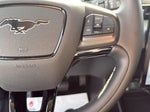 2023 Mustang Mach-E Thumbnail 14