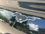 2023 Mustang Mach-E Thumbnail 50